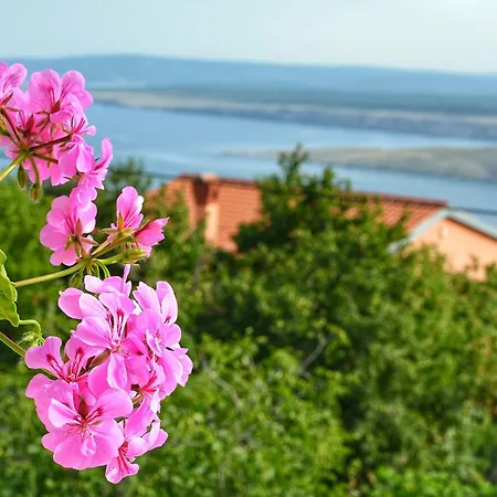 Apartman Kantun Šmrika