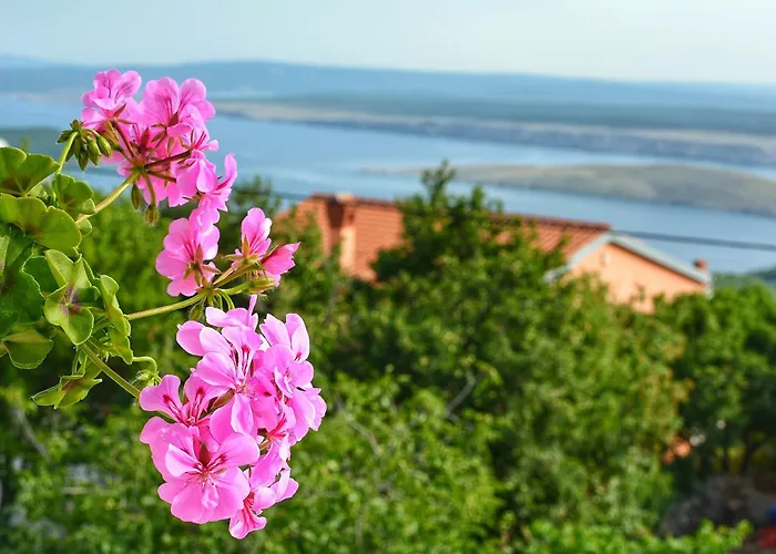 Apartman Kantun Smrika